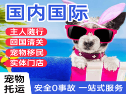 衡阳南岳航空物流国际宠物托运 【国